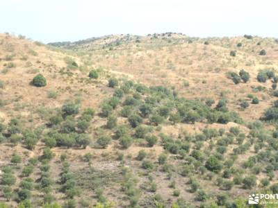 Cárcavas del Pontón de la Oliva y Patones | Badlands de Guadalajara; burgos senderismo rutas valenci